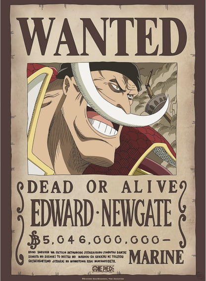 One Piece - ABYstyle Poster Carteles de recompensa de Roger y Barbablanca 52x38