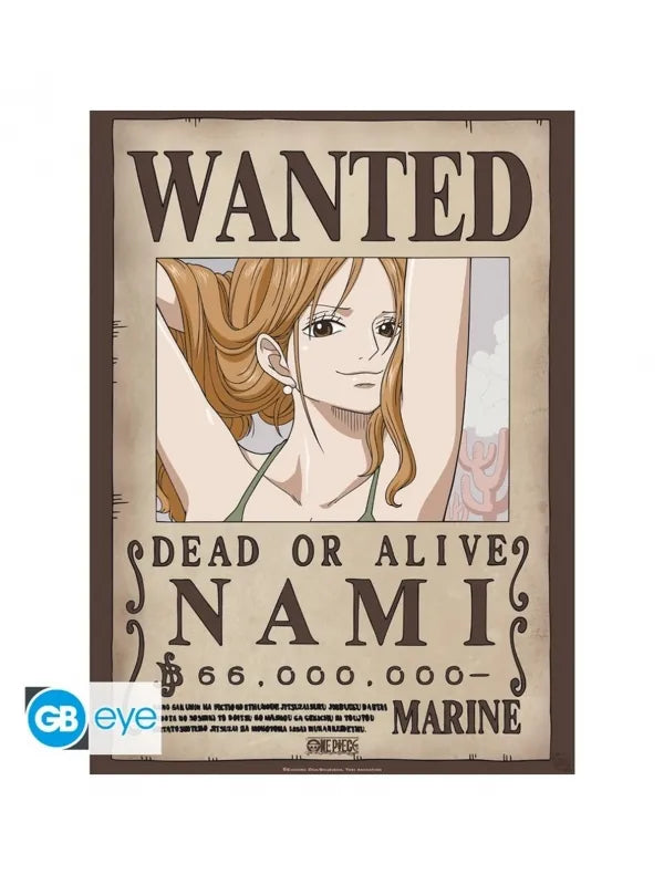 One Piece - ABYstyle Poster Nami y Robin 52x38